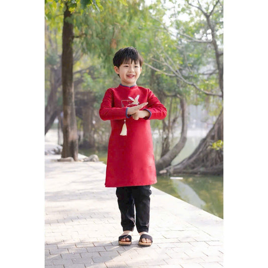 PE5: Embroidered Ao Dai For Boy - Vietnamese Long Dress Ao Dai For Kid Boy